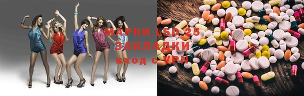 шишки Заводоуковск