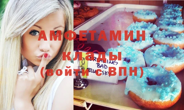 шишки Заводоуковск