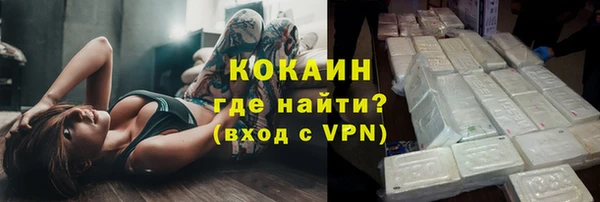 шишки Заводоуковск