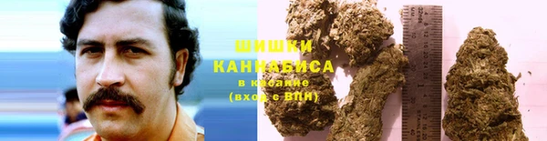 шишки Заводоуковск