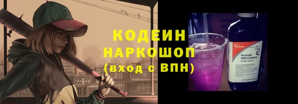 шишки Заводоуковск