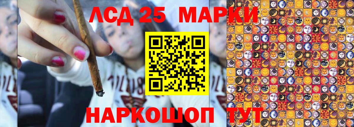 Наркотические марки  Наркотические марки 1500мкг  Вход с VPN  Бердск 