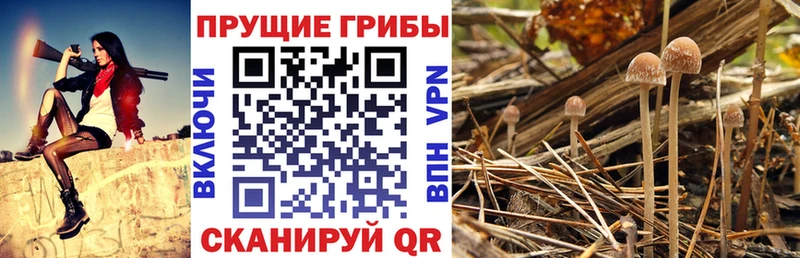 Псилоцибиновые грибы Magic Shrooms Бердск