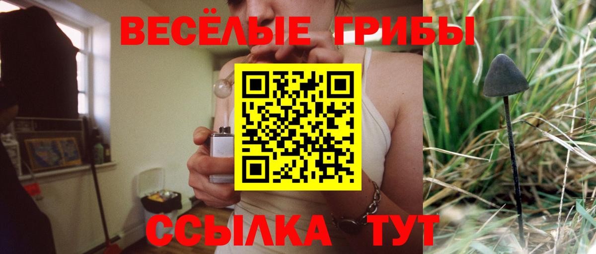 Псилоцибиновые грибы мухоморы  Бердск 