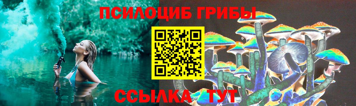 Галлюциногенные грибы Cubensis  Вход с VPN  Бердск 