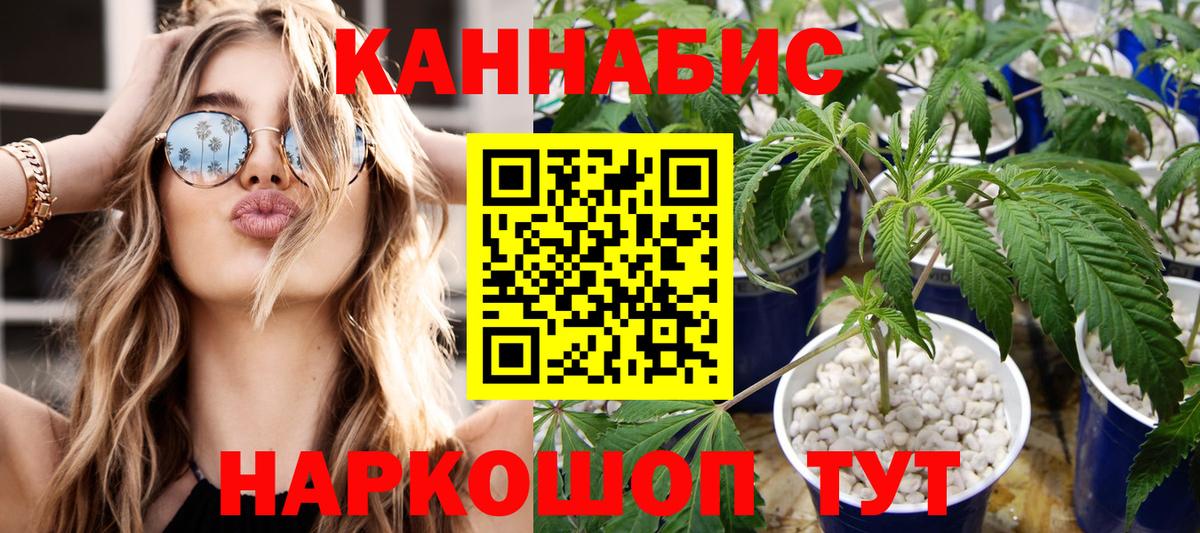 Бердск  Марихуана ГИДРОПОН  Конопля сатива  Каннабис AK-47  Вход с VPN 